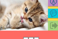 Picture Quiz img